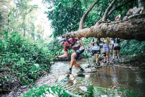 BIB: 
                            <button type="button" onclick="openModal(25454976)" class="btn btn-primary btn-sm float-right btn-popup" data-toggle="modal" data-target=".modal-high-quality">
                        <i class="fas fa-shopping-cart"></i> Add to Cart
                    </button>
                                            <button type="button" onclick="isThisMe(25454976, true)" class="btn btn-success btn-sm float-right btn-popup btn-isme hidden" data-toggle="tooltip" data-placement="bottom" title="นี่คือรูปของคุณใช่ไหม คลิกที่นี่เพื่อเอาเข้าอัลบั้ม">
                        <i class="fas fa-plus"></i> Add to album
                    </button>
                    <button type="button" onclick="isThisMe(25454976, false)" class="btn btn-warning btn-sm float-right btn-popup btn-isnotme hidden">
                        <i class="fas fa-ban"></i> Remove from album
                    </button>